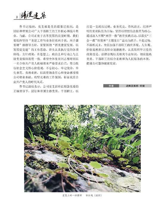 內刊第二期